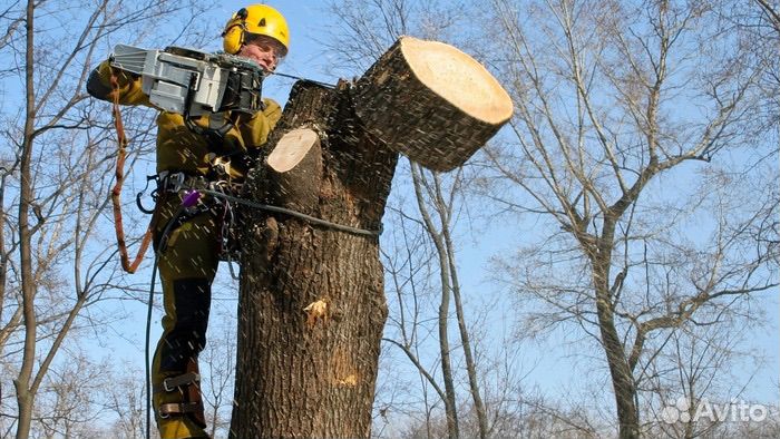 Измельчитель веток аренда дробилки