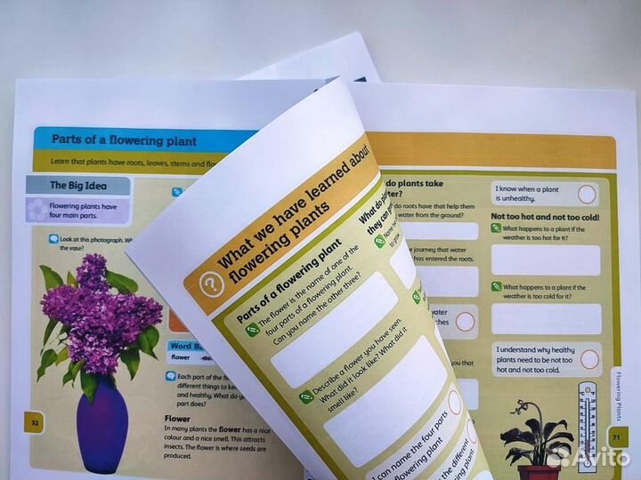 Oxford International Primary Science