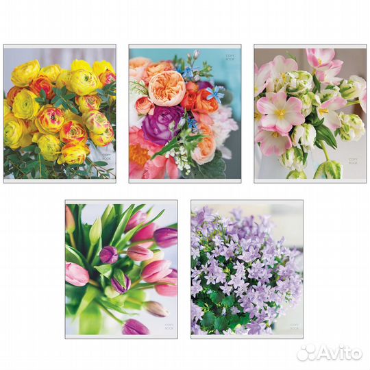 Тетрадь ученическая 48л клетка, линия