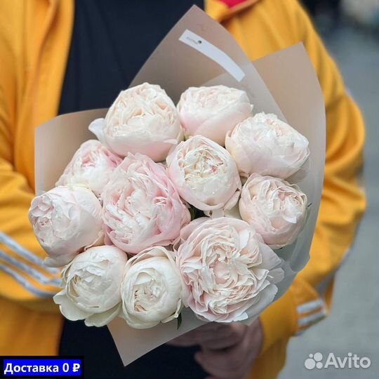 Пионы для особых дней