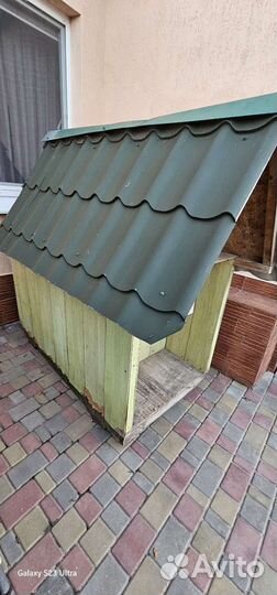 Собачья будка