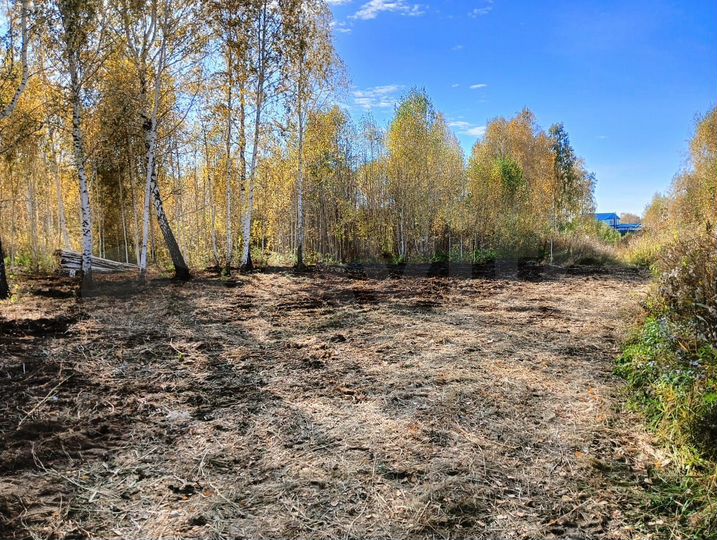 Участок 10 сот. (СНТ, ДНП)