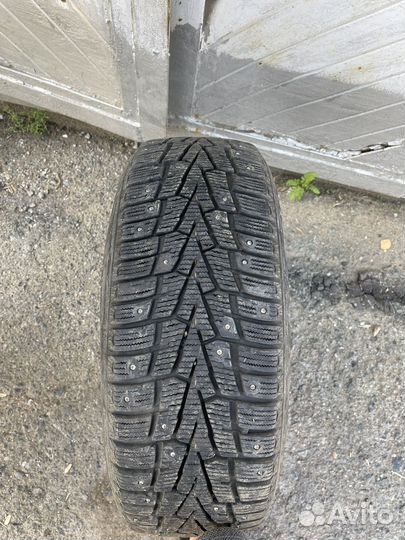 Nexen Winguard 205/55 R16