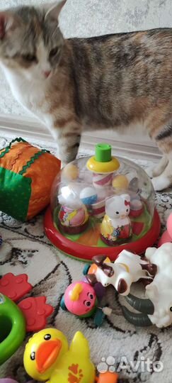 Развивающие игрушки пакетом