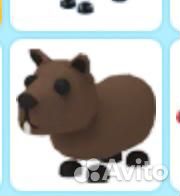 Обмен адопт ми на адопт ми