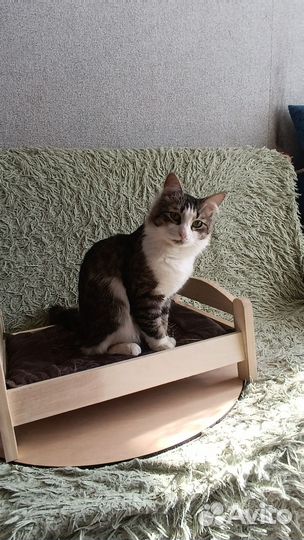 Кроватки и лежанки для животных