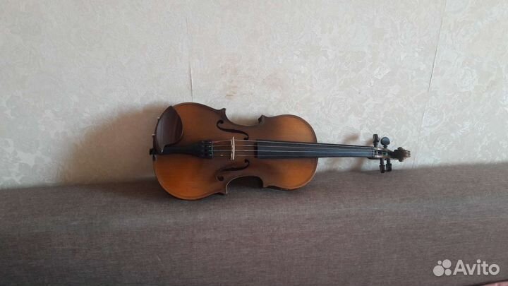 Скрипка целая