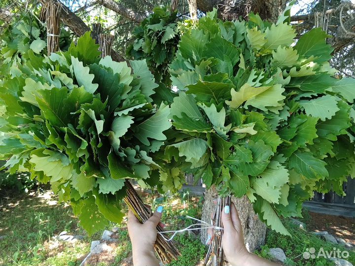 Дубовые банные веники