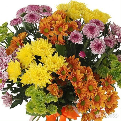 Букет из 15 хризантем Бета