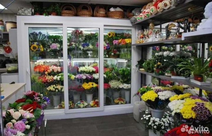 Холодильная сплит система для цветов,пива