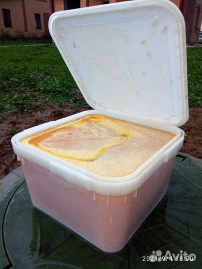 Мёд разнотравье (подсолнух+липа) опт и розница