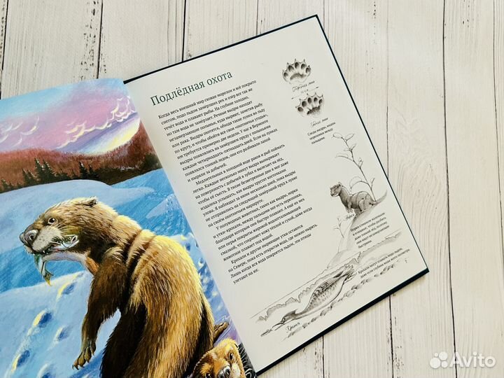 Дикий холод (Гудвин)