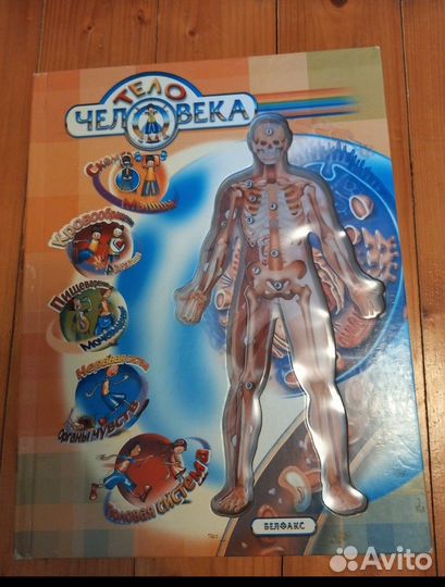 Книга тело человека/ подводный мир