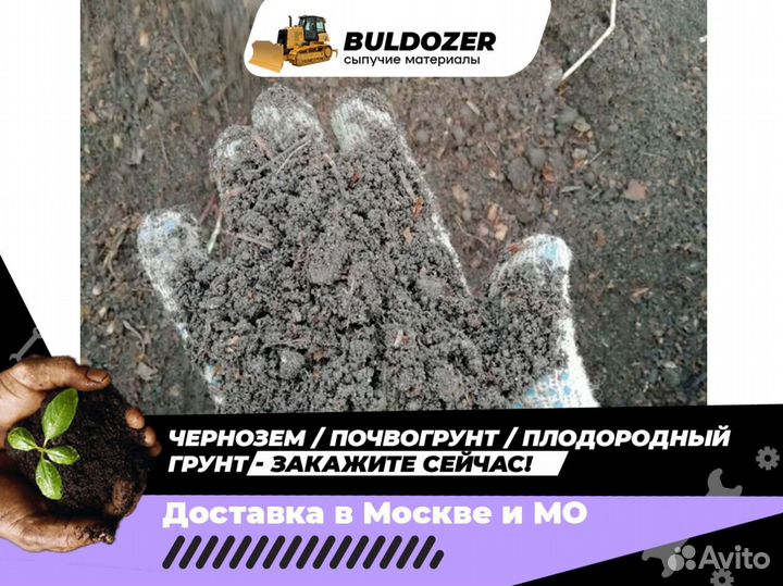 Чернозем