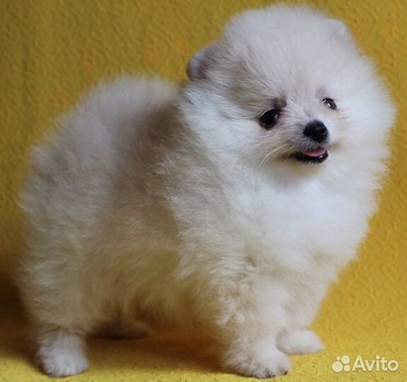 Девочки и мальчики разных окрасов