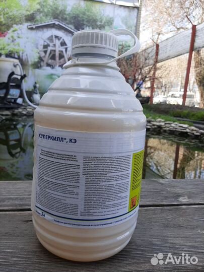 Суперкилл, Ципи плюс, Шаман