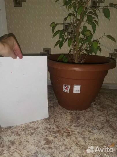 Пластиковые горшки