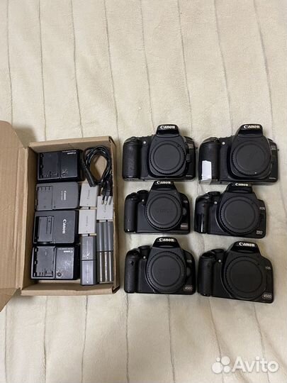 Шесть Canon EOS одним лотом