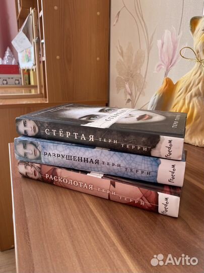 Тери Терри - Стертая, Расколотая, Разрушенная