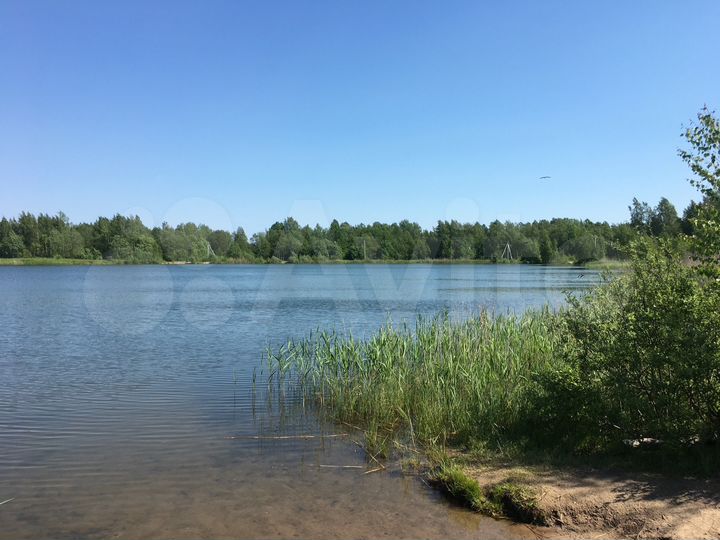 Участок 10 сот. (СНТ, ДНП)