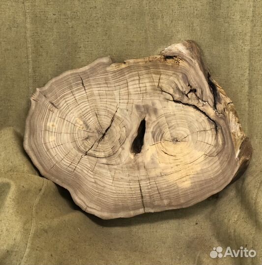 Спил карагача