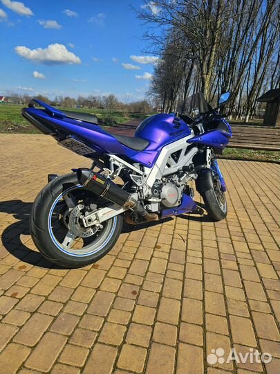 Suzuki sv1000s
