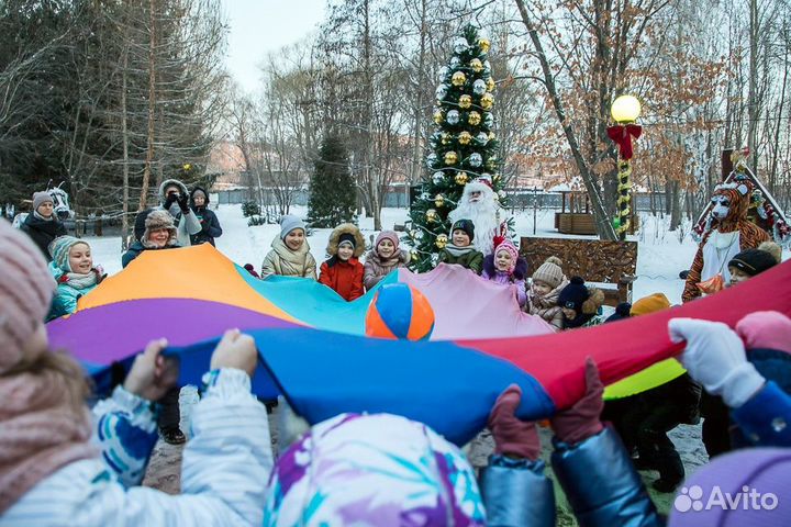 Дед Мороз, Снегурочка домой, офис, сад, корпоратив