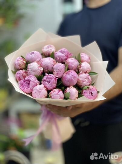 Премиальные пионы голландия