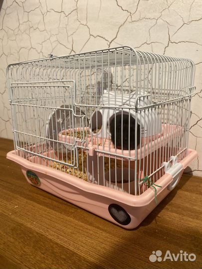 Сирийский хомяк с клеткой