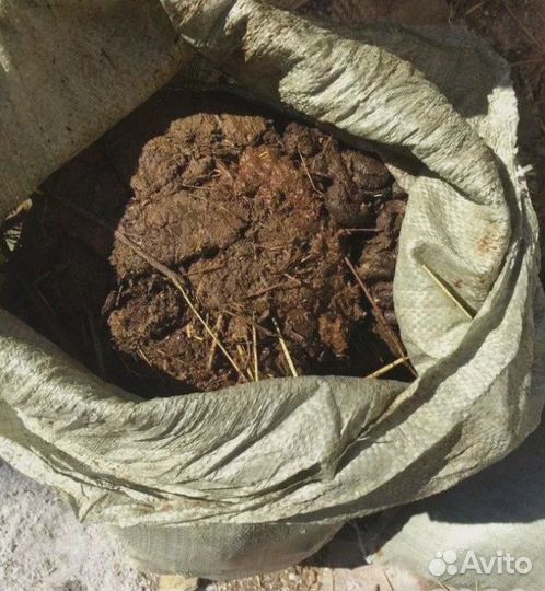 Продам навоз коровий