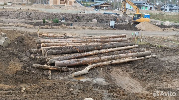 Дрова из сосны 30 хлыстов