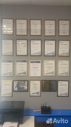 DoorHan RSD02 Premium classic 3000*2500