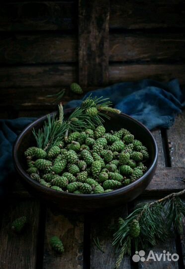 Шишки сосновые