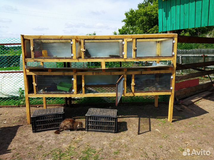 Продаются клетки для кроликов