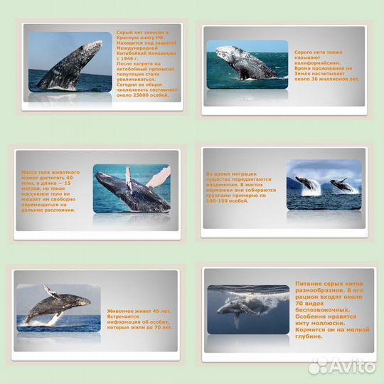 Создание презентаций в power point