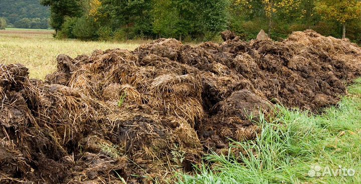 Навоз конский
