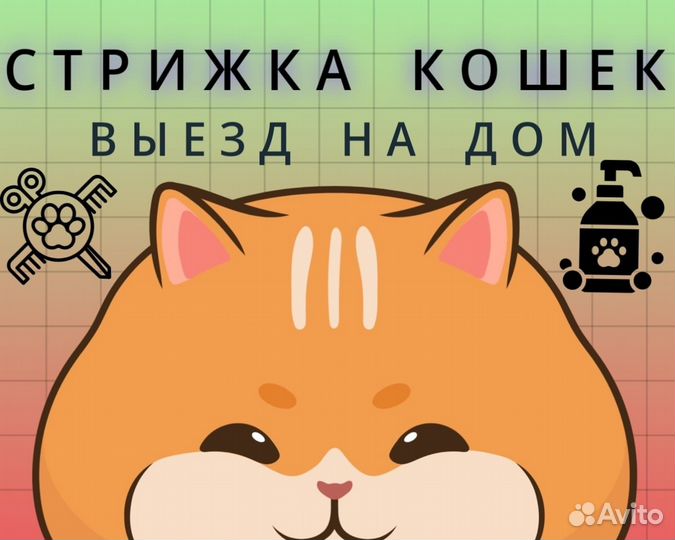 Стрижка кошек (груминг). Выезд на дом