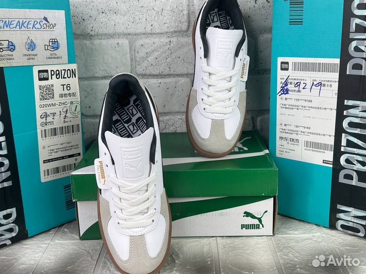 Puma Palermo classic