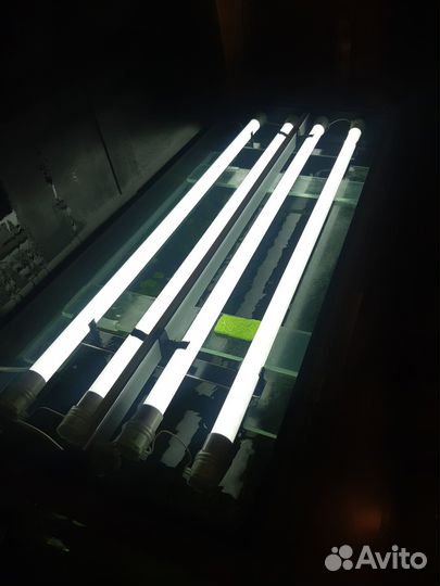 Аквариумный комплекс все сразу