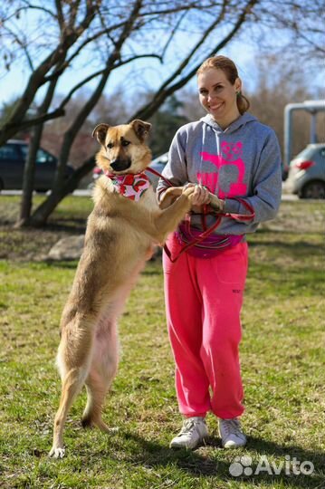 Прелестная Винки ищет дом