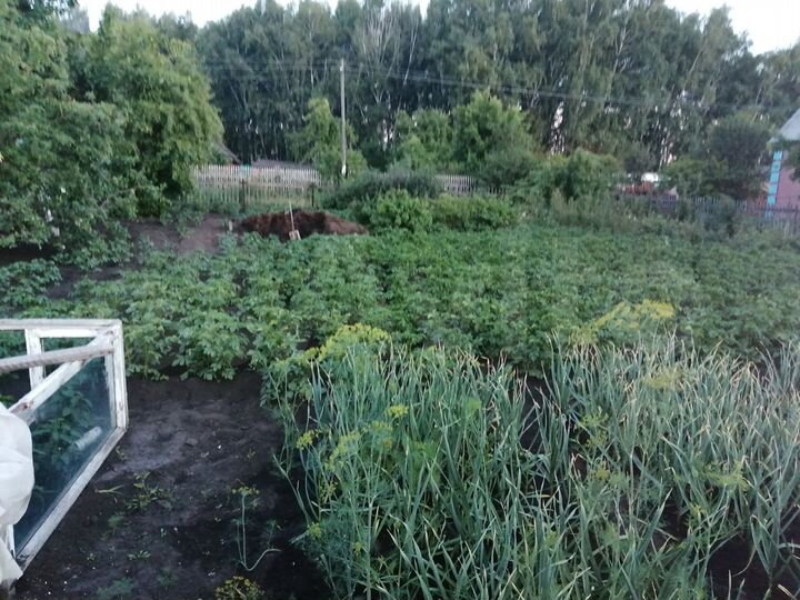 Участок 5 сот. (СНТ, ДНП)