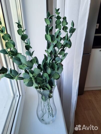 Эвкалипт искусственный ручной работы