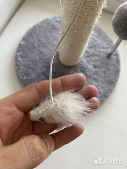 Когтеточка