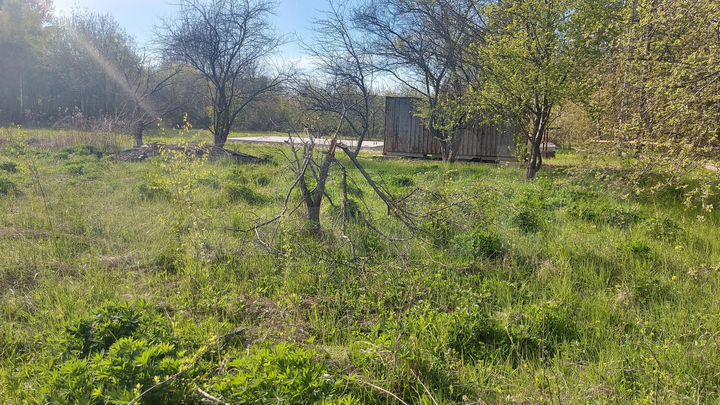 Участок 12 сот. (СНТ, ДНП)