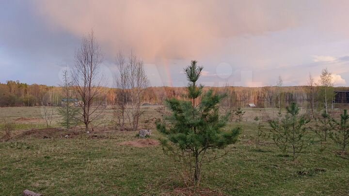 Участок 6 га (ИЖС)