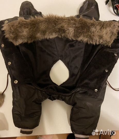 Комбинезон для собаки мальчика