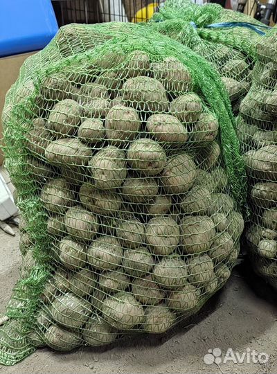 Картофель мелкий