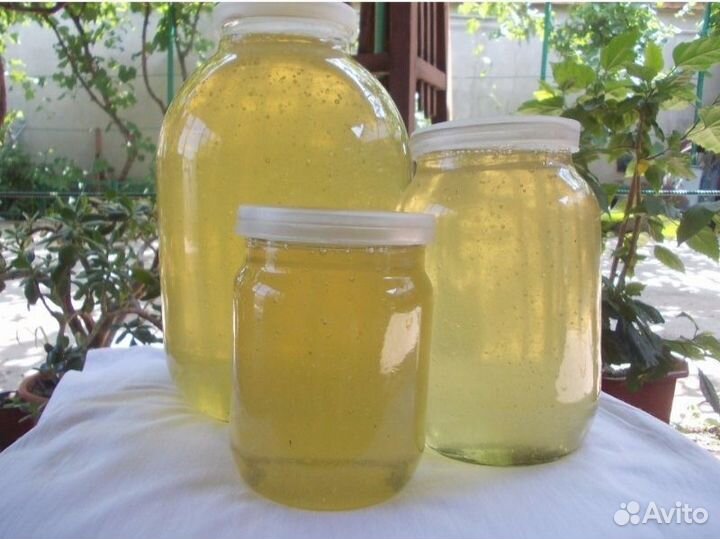 Мед В сотах белая акация