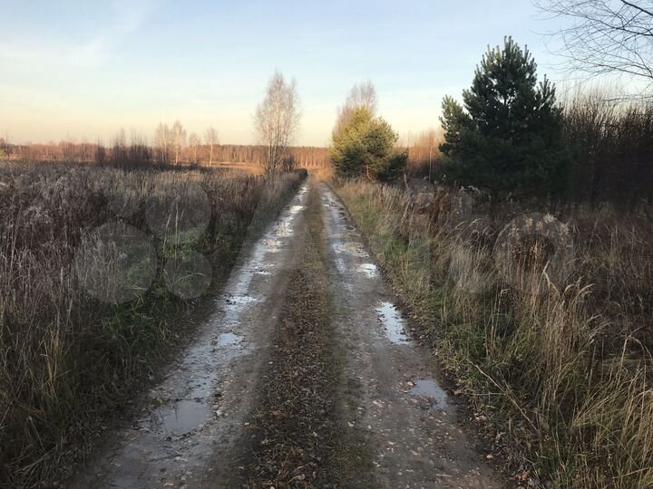 Участок 5 га (СНТ, ДНП)