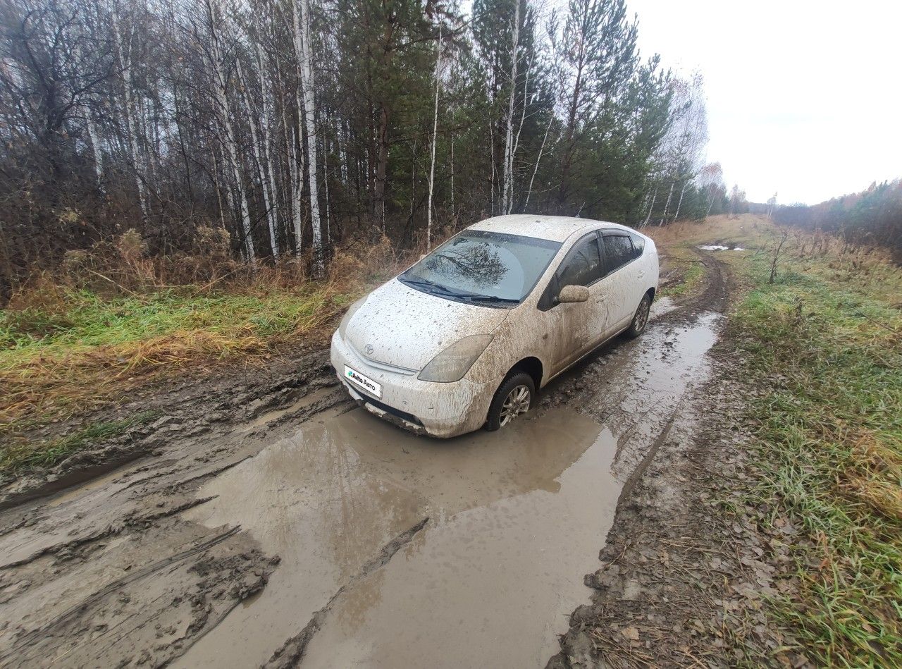 Toyota Prius: фото владельца